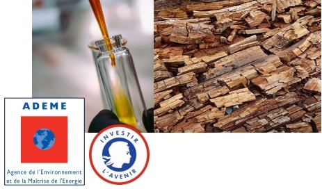 Projet BIO4 : Vers une Bioraffinerie de bois InnOvante